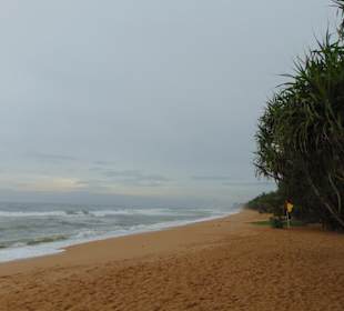 Induruwa Beach