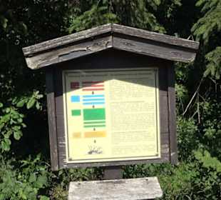 Waldameisen-LehrPfad