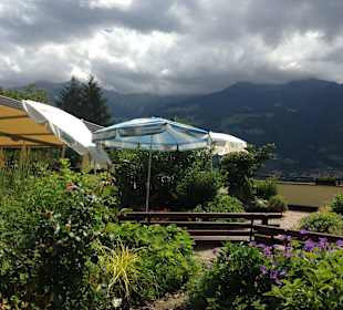 Schöne Pflanzen neben der Terrasse