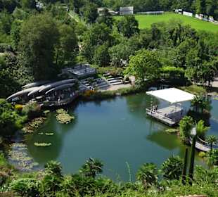Blick auf die Gärten vom Schloss Trauttmansdorff