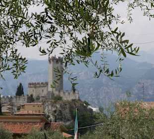 Langsam gehts nach Oben