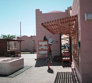Basis