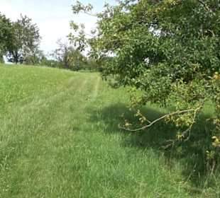 Aussichtspunkt Östliche Linsenhalde
