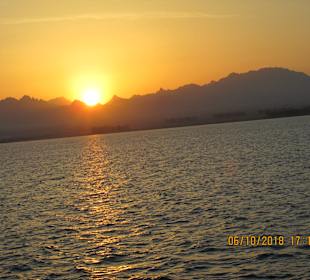 ORCA Dive Club Soma Bay 