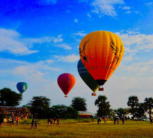 Die nächsten landen