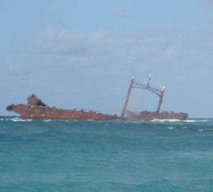 Wrack vor der Küste