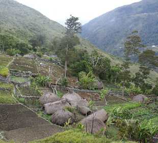 Zbocza doliny Baliem