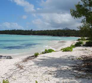 Ile aux Cerfs