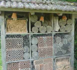 Bei der Rundwanderung Extratour Kuppenweg