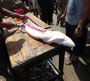 Wird zerlegt direkt vor Ort