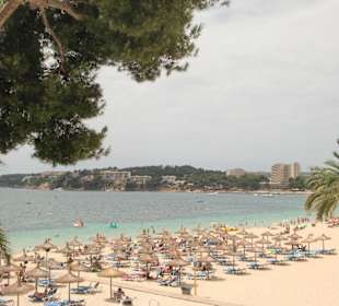 Strand von Magaluf