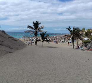 Strand El Duque in Costa Adeje