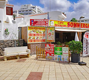 Aussicht auf Sommergarten