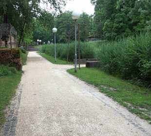 Baumlehrpfad Glacis Park