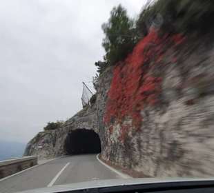 Farbenpracht Anfang November