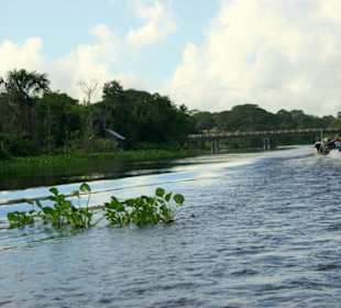 Brücke Morichal Largo