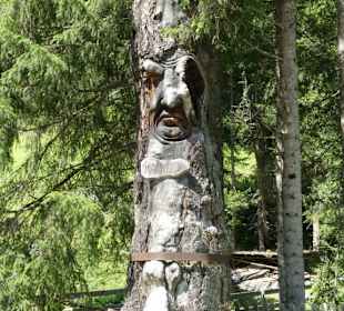 Urige Baumvariationen