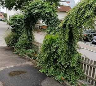 Brauereigaststätte Dunstelkingen