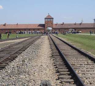 Konzentrationslager Auschwitz
