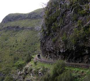 Levada