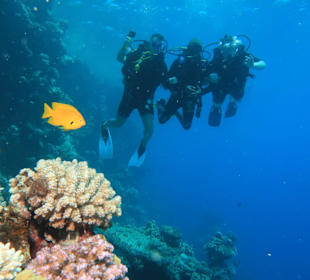 Tauchbasis Aquarius Marsa Alam
