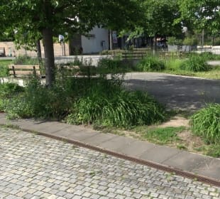 Schwetzinger Terrasse