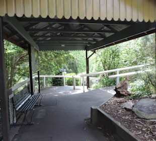 Hier geht es zum Dampfzug Puffing Billy