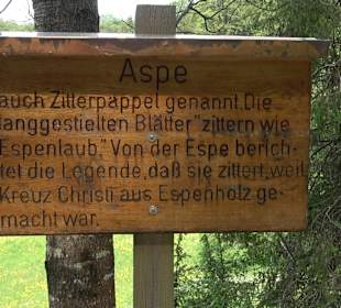 Waldlehrpfad in Tieringen