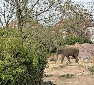 Zoo