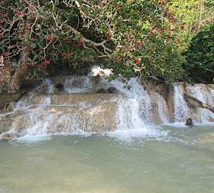 Dunns River Wasserfälle
