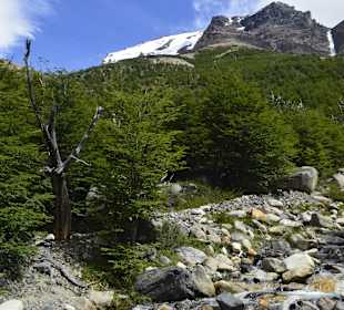 Park Narodowy Torres del Paine