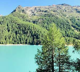 Wandern Sesvennahütte Mals/Malles Venosta