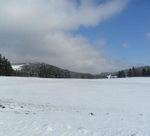 So schön kann es im Winter auf dem Knüllfeld sein.