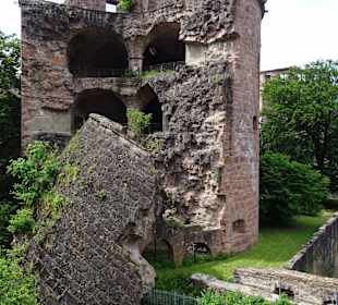Schloss Heidelberg Ein-und Ausblicke