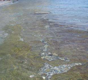 Steinplatten im seichten Ufer
