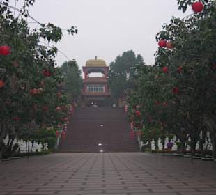 Die Stufen zur Erleuchtung