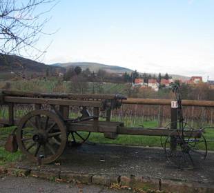 Weinlehrpfad Edenkoben