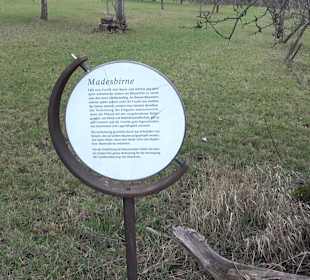 Birnenerlebnisweg Glems