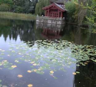 Chinesischer Garten