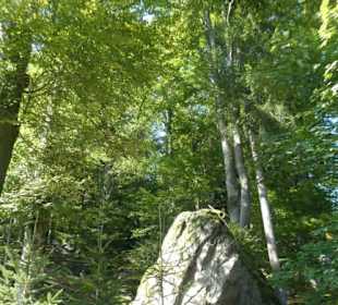 Bei unserer Wanderung zur Harlachberger-Spitze