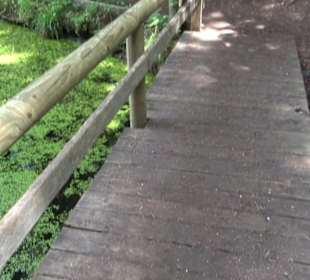 Wanderweg Märchensee Runde