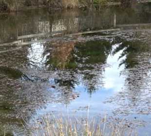 Hüle beim Dorfgemeinschaftshaus Bernloch