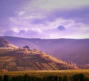 Wandern Geisfeld