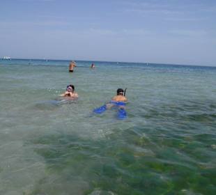 Schnorcheln am Husriff