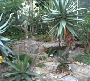 Gewächshäuser Botanischer Garten