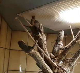 Exotarium