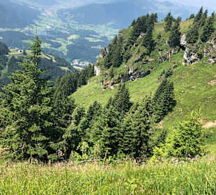 Kitzbüheler Horn