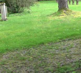 Waldfriedhof Degerloch