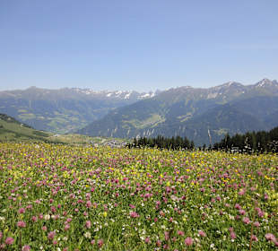 Impression Naturwanderung