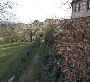 Pfarrhaus